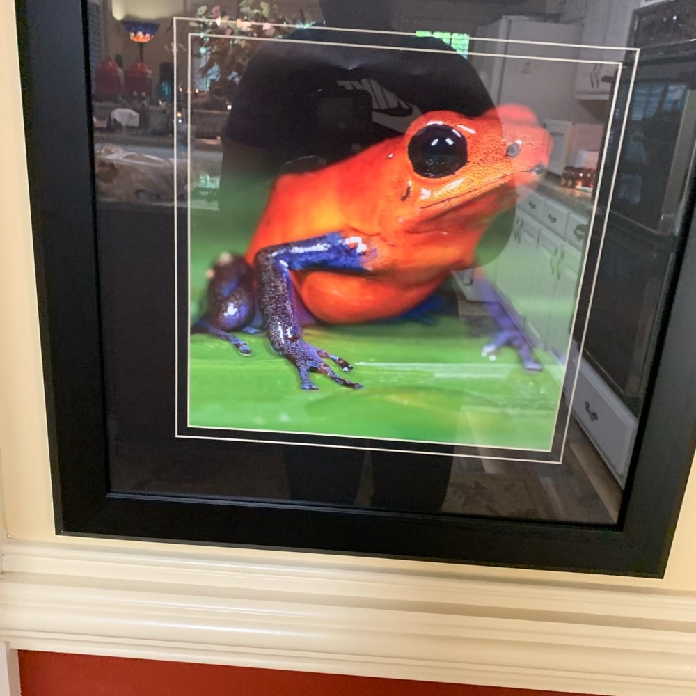 Meet your Posher, Tammy